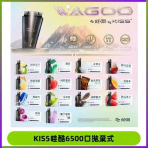 KIS5WAGOO哇酷6500口拋棄式 | 自由混搭雙口味 | 雙芯組合