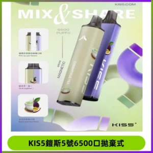 KIS5鎧斯5號一次性6500口磁吸式拋棄式電子煙#自由混搭#