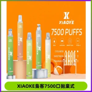 XIAOKE梟客7500Puffs跑馬燈拋棄式電子煙 可發光一次性